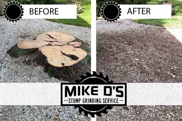 Bradenton tree stump grinding company