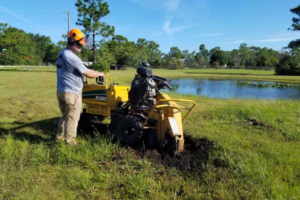 Cheap Stump Grinding and a Great Service