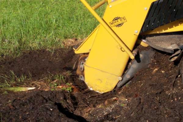 Treep Stump removal Bradentton, Manatee and Sarasota County