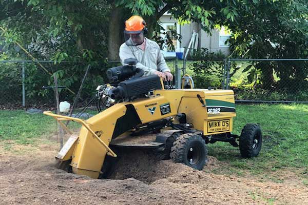 Sarasota Stump Grinding and removal Service