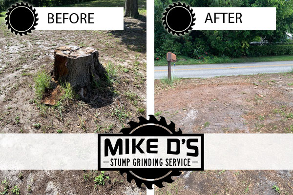 tree stump grinding Manatee County