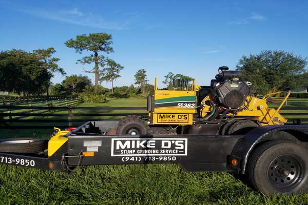 Stump Grinding Services that work in East Bradenton and Myakka City 