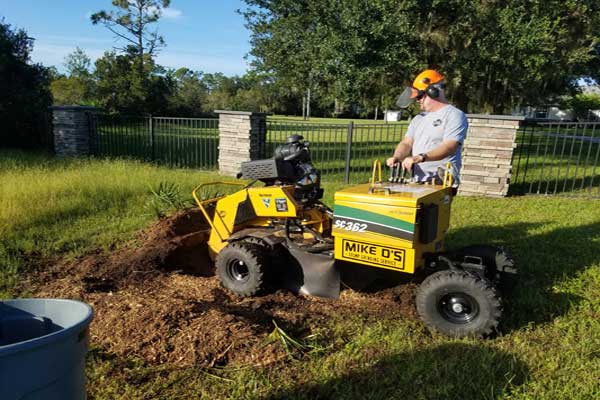 Stump Grinding Service in Lakewood Ranch